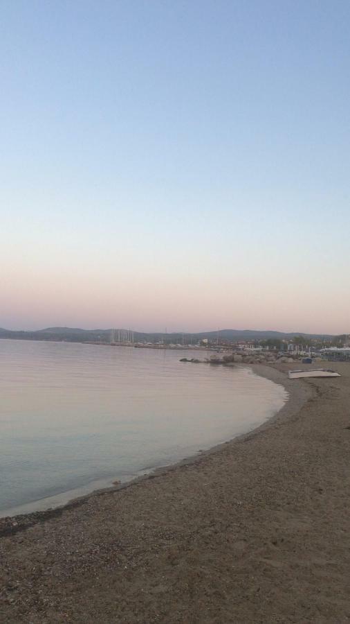 Our Little Paradise ! Nikiti ! Εξωτερικό φωτογραφία